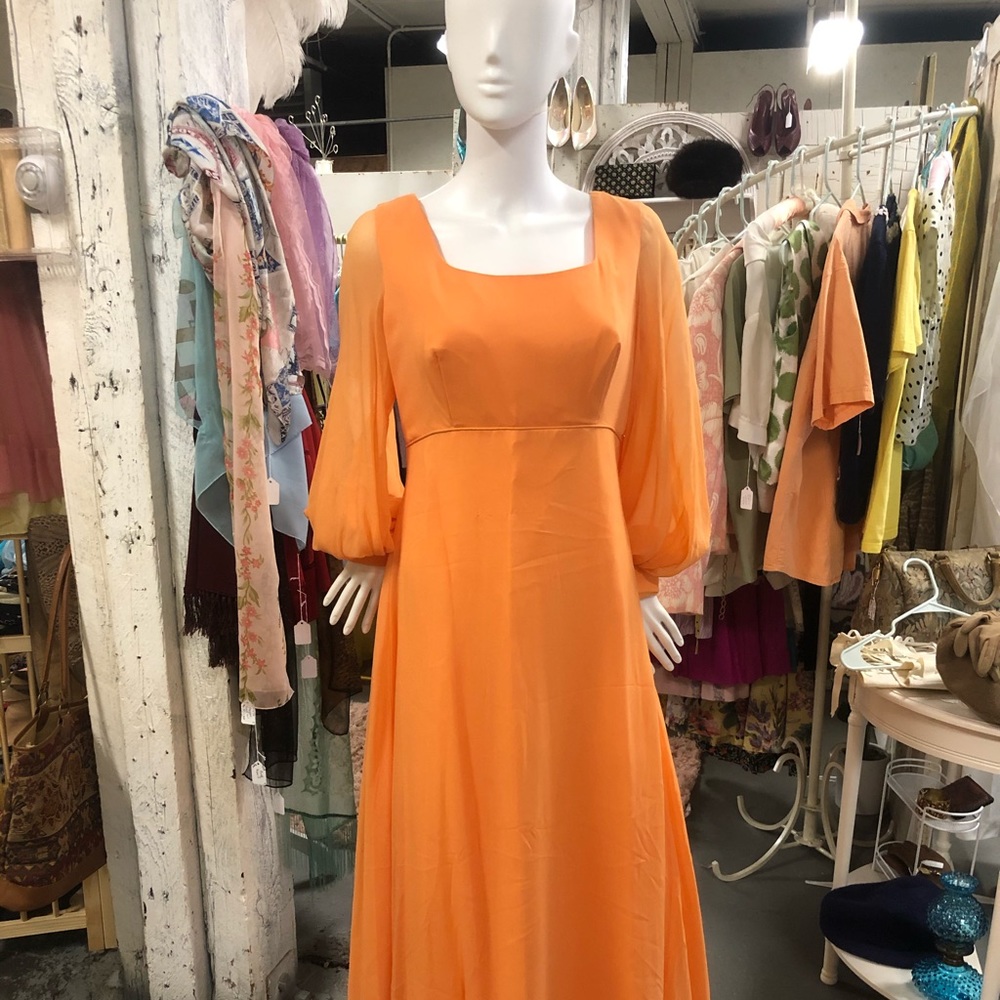 70s Goddess Chiffon Sleeve Gown